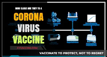 Coronavirus Vaccine Progress: How Close Are We to a Solution?