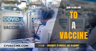 The Race for a Vaccine: How Close Are We?