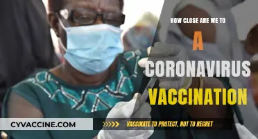 Coronavirus Vaccine Progress: How Close Are We to a Solution?