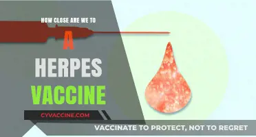 Advancements in Herpes Vaccine Research: How Close Are We?