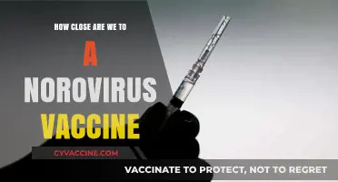 Norovirus Vaccine Progress: How Close Are We to Prevention?
