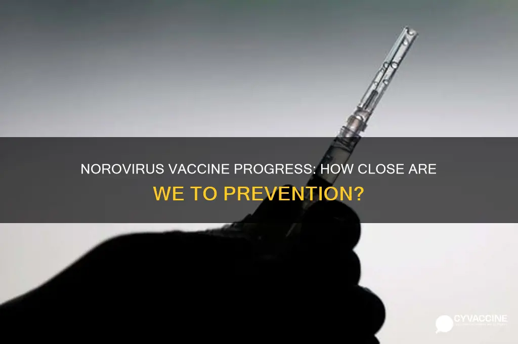how close are we to a norovirus vaccine