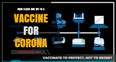 Closing In: The Race to Develop a Coronavirus Vaccine