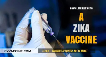 Zika Vaccine Progress: How Close Are We to Eradicating the Threat?