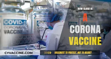 Corona Vaccine Progress: How Close Are We to a Breakthrough?