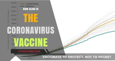 Coronavirus Vaccine Progress: How Close Are We to a Solution?