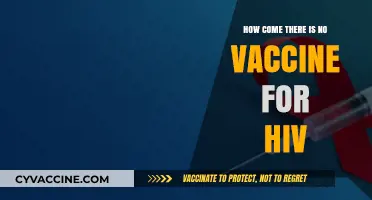 Why HIV Remains Unconquered: The Elusive Quest for a Vaccine