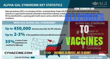 Understanding Vaccine Allergies: How Common Are They Really?