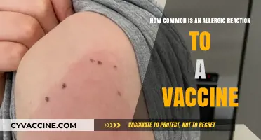 Understanding Vaccine Allergic Reactions: Frequency, Causes, and Prevention Tips
