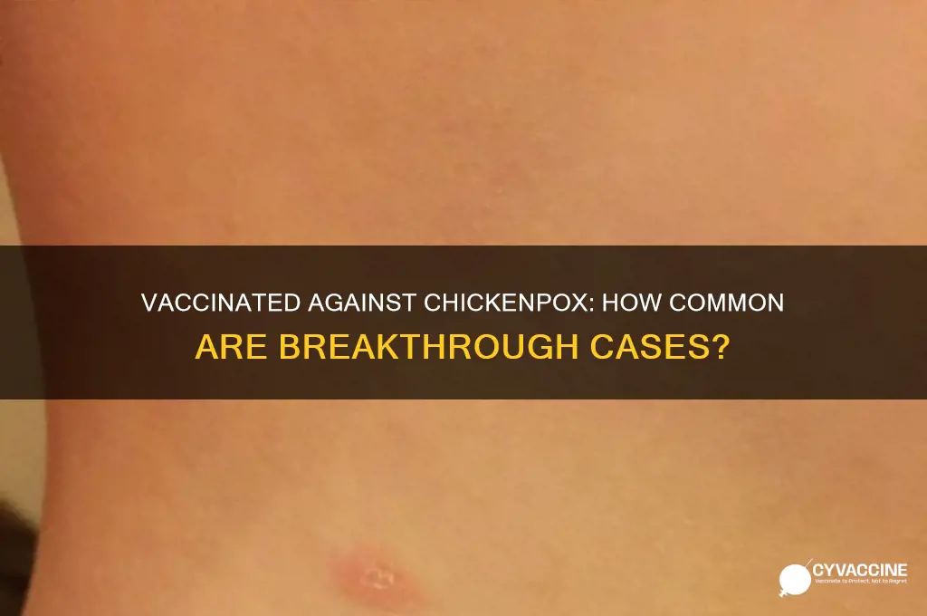 how common is chicken pox if you are vaccinated