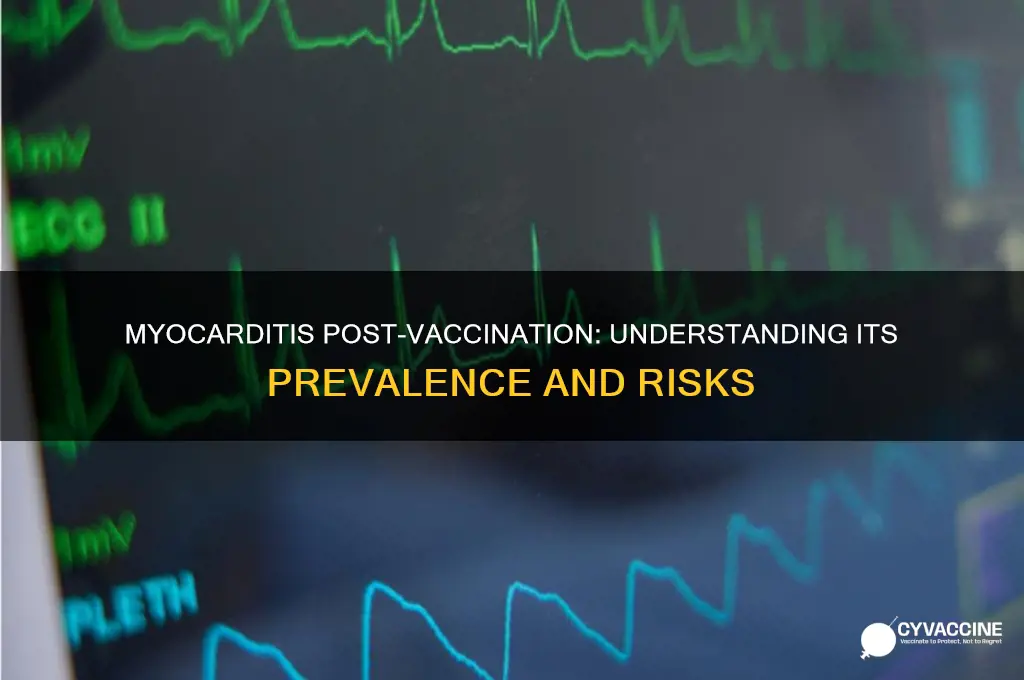 how common is myocarditis after vaccine