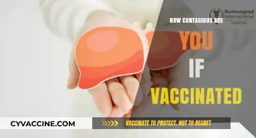 Vaccinated and Contagious? Understanding Transmission Risks Post-Vaccination