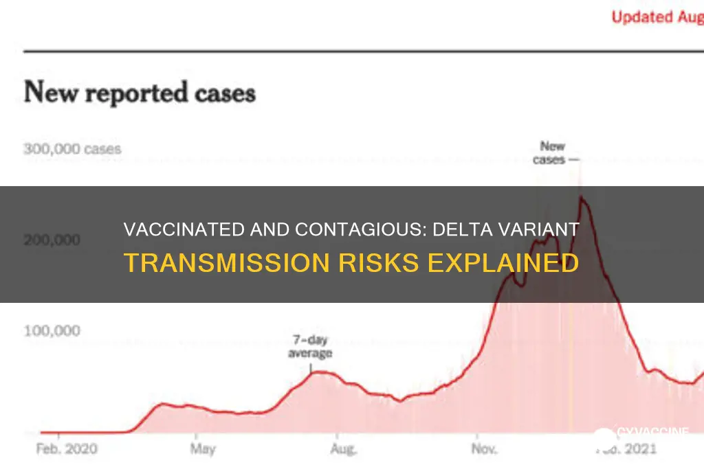 how contagious is a vaccinated person with delta