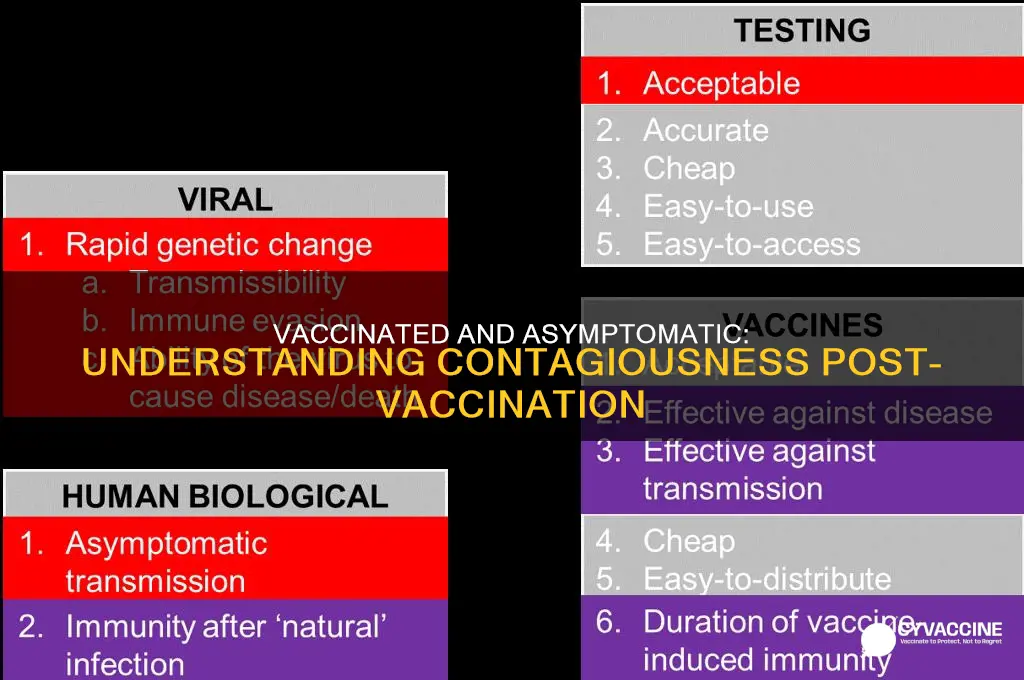 how contagious is a vaccinated person with no symptoms