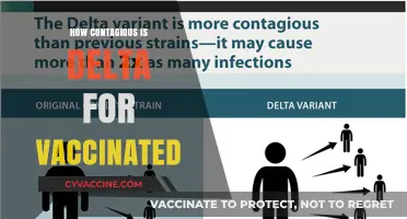 Delta Variant Contagiousness: Risks for Vaccinated Individuals Explained