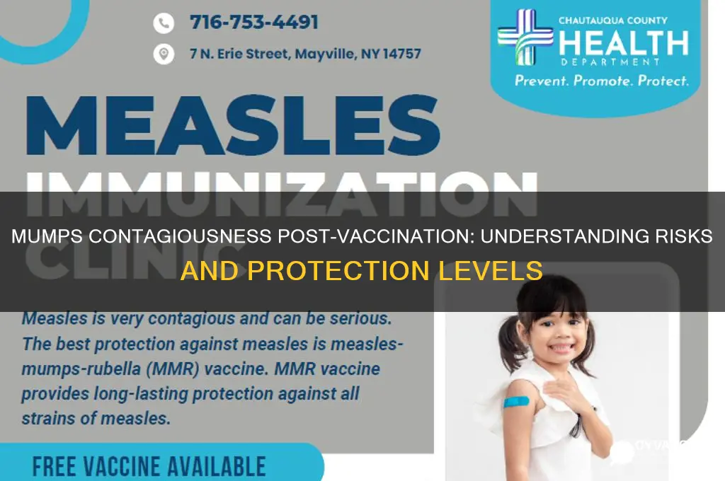 how contagious is mumps if vaccinated