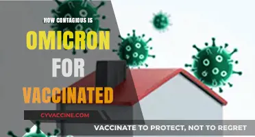 Omicron's Contagiousness: What Vaccinated Individuals Need to Know