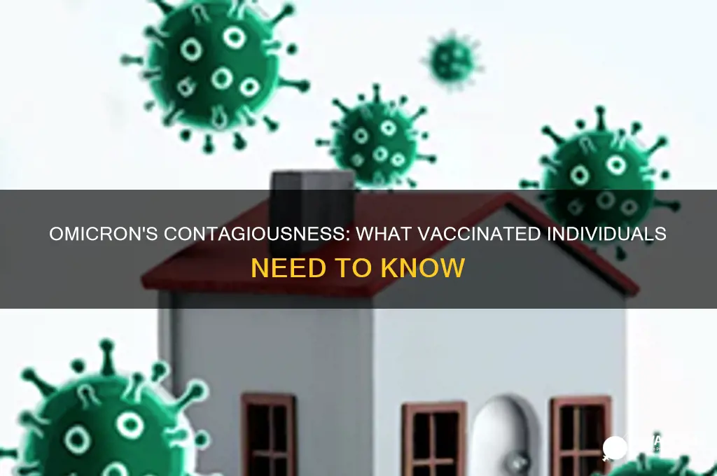 how contagious is omicron for vaccinated