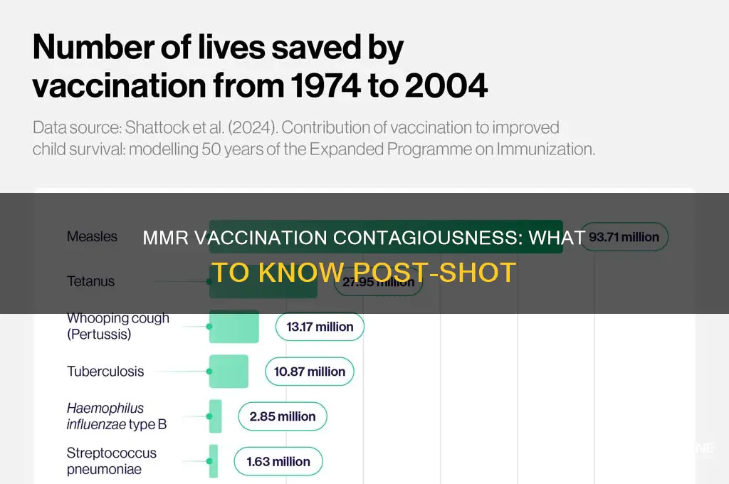 how contagious is someone right after mmr vaccination