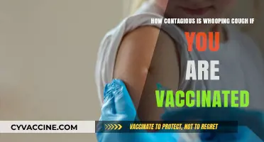 Vaccinated but Worried: Understanding Whooping Cough's Contagiousness Post-Vaccination