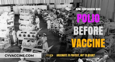 Polio's Pre-Vaccine Contagion: Unraveling the Silent Spread of a Crippling Disease