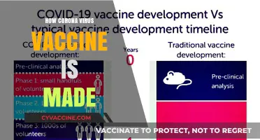 Understanding the Science Behind Creating the Coronavirus Vaccine