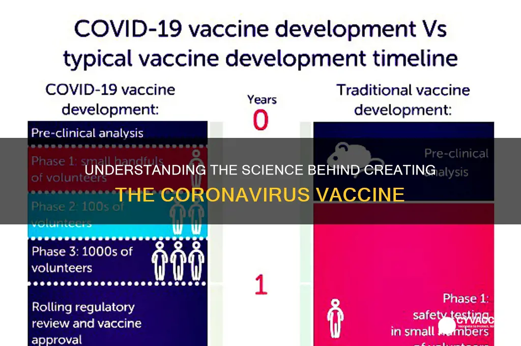 how corona virus vaccine is made