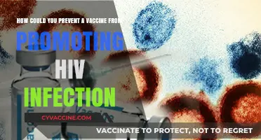 Preventing HIV Infection: Strategies to Ensure Vaccine Safety and Efficacy