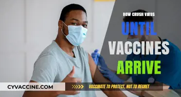 Crushing COVID-19: Strategies to Halt Virus Spread Until Vaccines Arrive