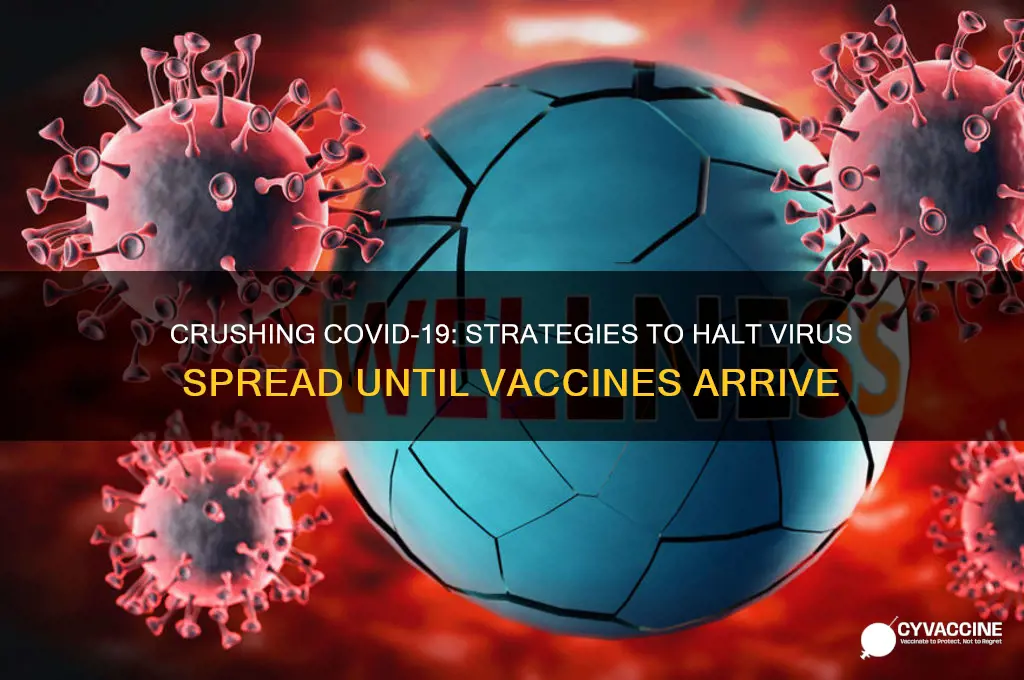 how crush virus until vaccines arrive