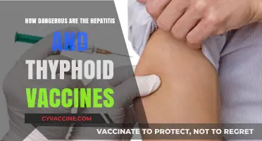 Hepatitis and Typhoid Vaccines: Safety, Risks, and What You Need to Know