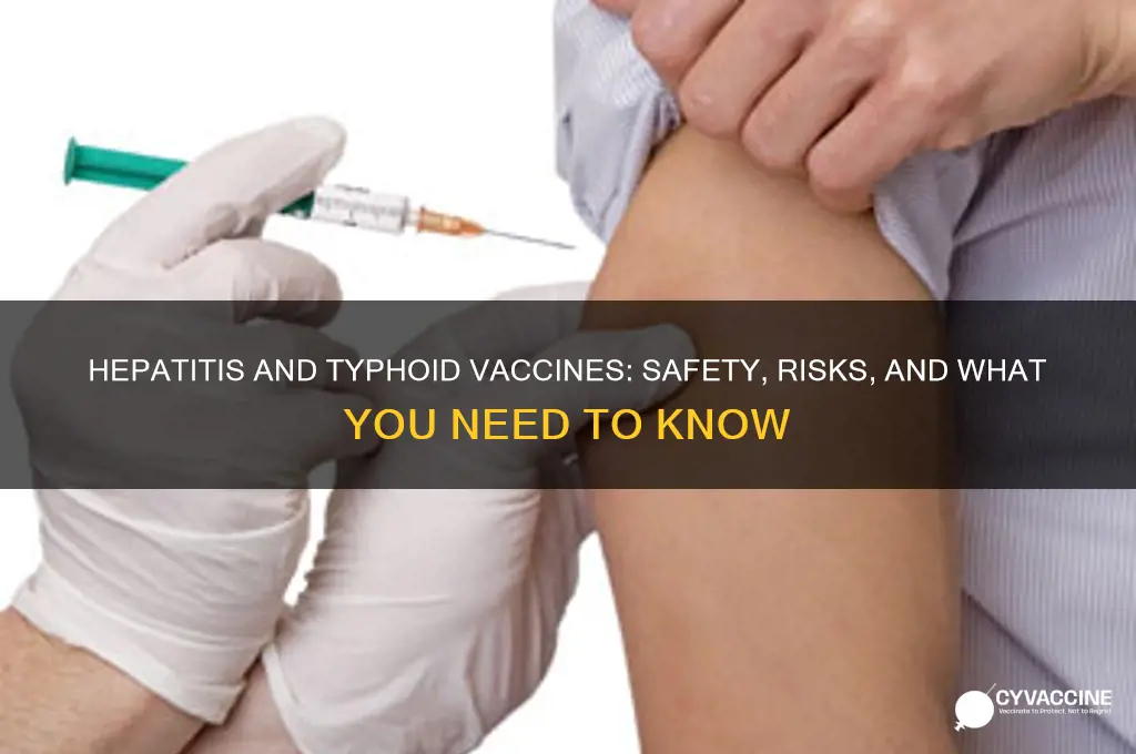 how dangerous are the hepatitis and thyphoid vaccines