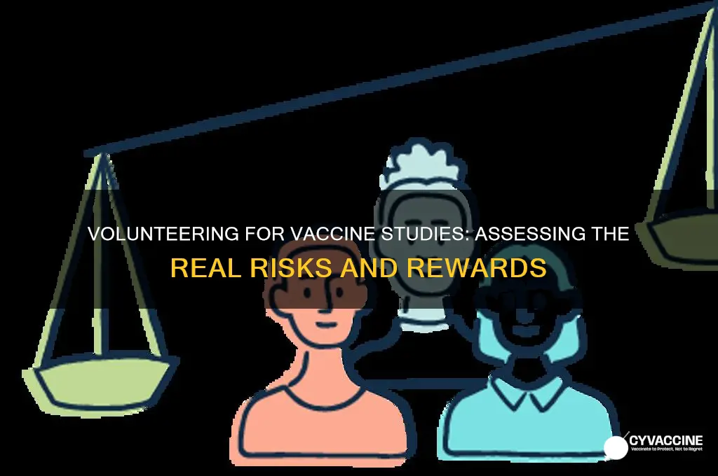 how dangerous are volunteering vaccine studies