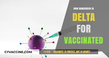 Delta Variant Risks: How Dangerous Is It for Vaccinated Individuals?