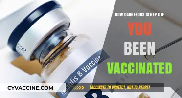 Hepatitis B Post-Vaccination: Understanding Risks and Long-Term Protection