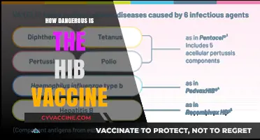 Is the Hib Vaccine Safe? Debunking Myths and Understanding Risks