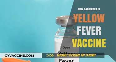 Yellow Fever Vaccine: Understanding Risks, Benefits, and Safety Concerns