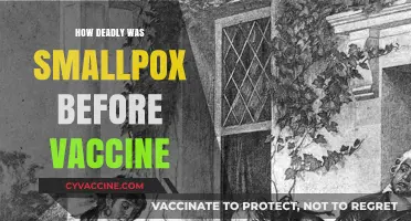 Smallpox's Lethal Legacy: Pre-Vaccine Era's Devastating Death Toll Revealed