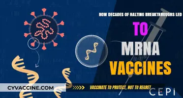 The Long Road to mRNA Vaccines: Decades of Scientific Perseverance