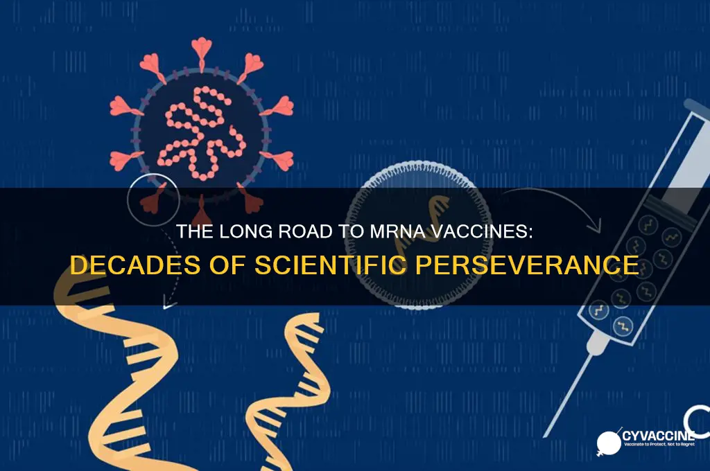 how decades of halting breakthroughs led to mrna vaccines