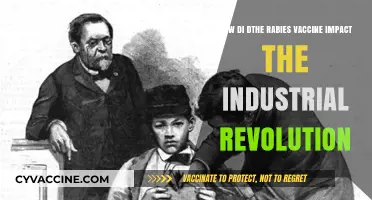 Rabies Vaccine's Role in Shaping the Industrial Revolution's Progress