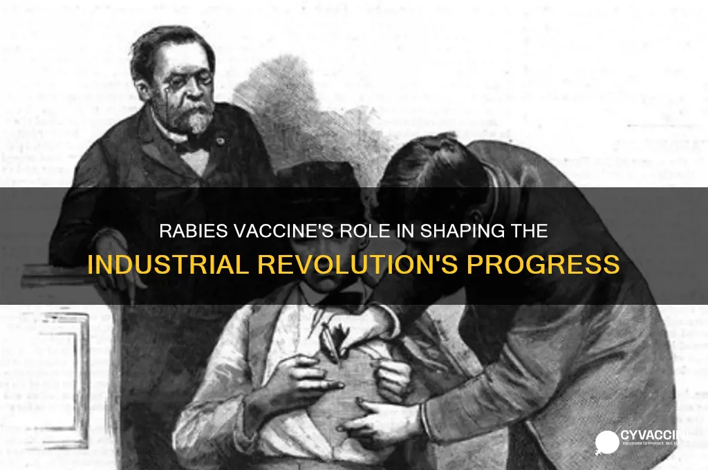how di dthe rabies vaccine impact the industrial revolution