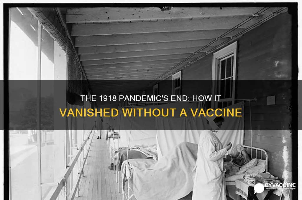 how did 1918 pandemic end without a vaccine