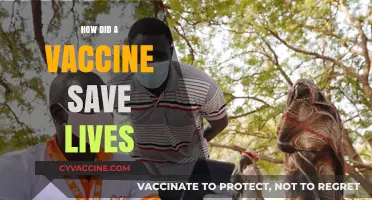 Vaccines: The Lifesaving Power Behind Global Health Triumphs