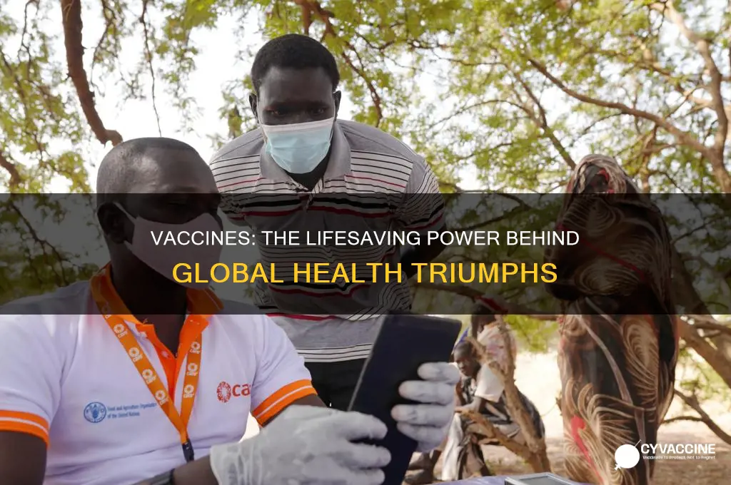 how did a vaccine save lives