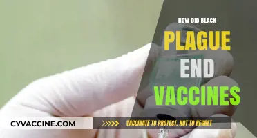 Black Plague's End: The Role of Vaccines in Defeatsing the Pandemic