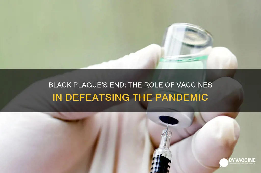 how did black plague end vaccines
