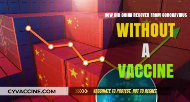 China's COVID-19 Recovery: Strategies Beyond Vaccines Unveiled