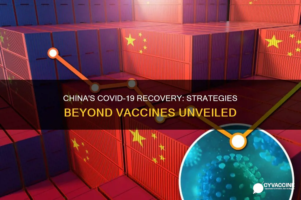 how did china recover from coronavirus without a vaccine