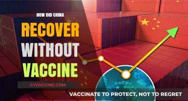 China's COVID-19 Recovery: Strategies Beyond Vaccines Explained